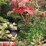 Springbrunnen im japanischen Garten